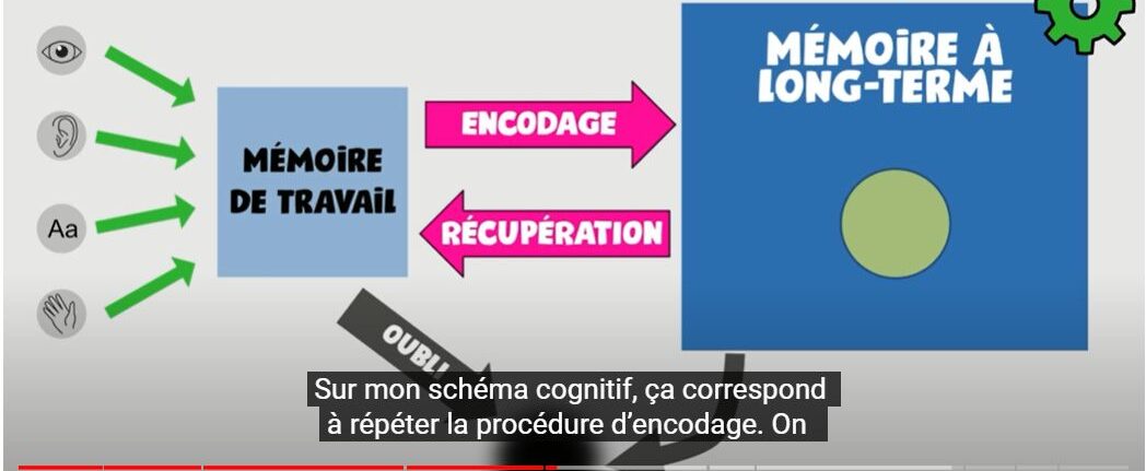 Optimiser ses révisions